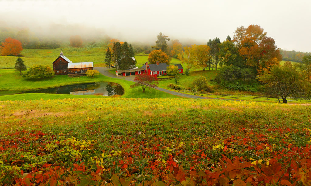 shutterstock_Woodstock Farm_paid for